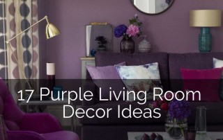 紫色的房间居民
