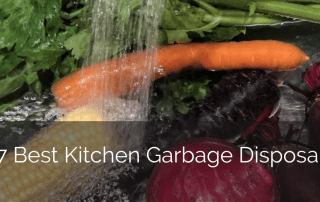最佳kitchen-garbage-disposal-disbage-disbring-Design-build